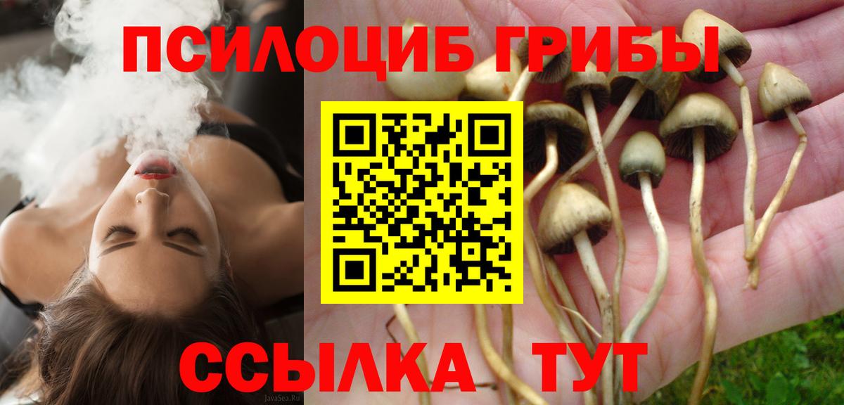 Березники  Псилоцибиновые грибы GOLDEN TEACHER  Псилоцибиновые грибы ЛСД  где купить наркоту  Вход с VPN 